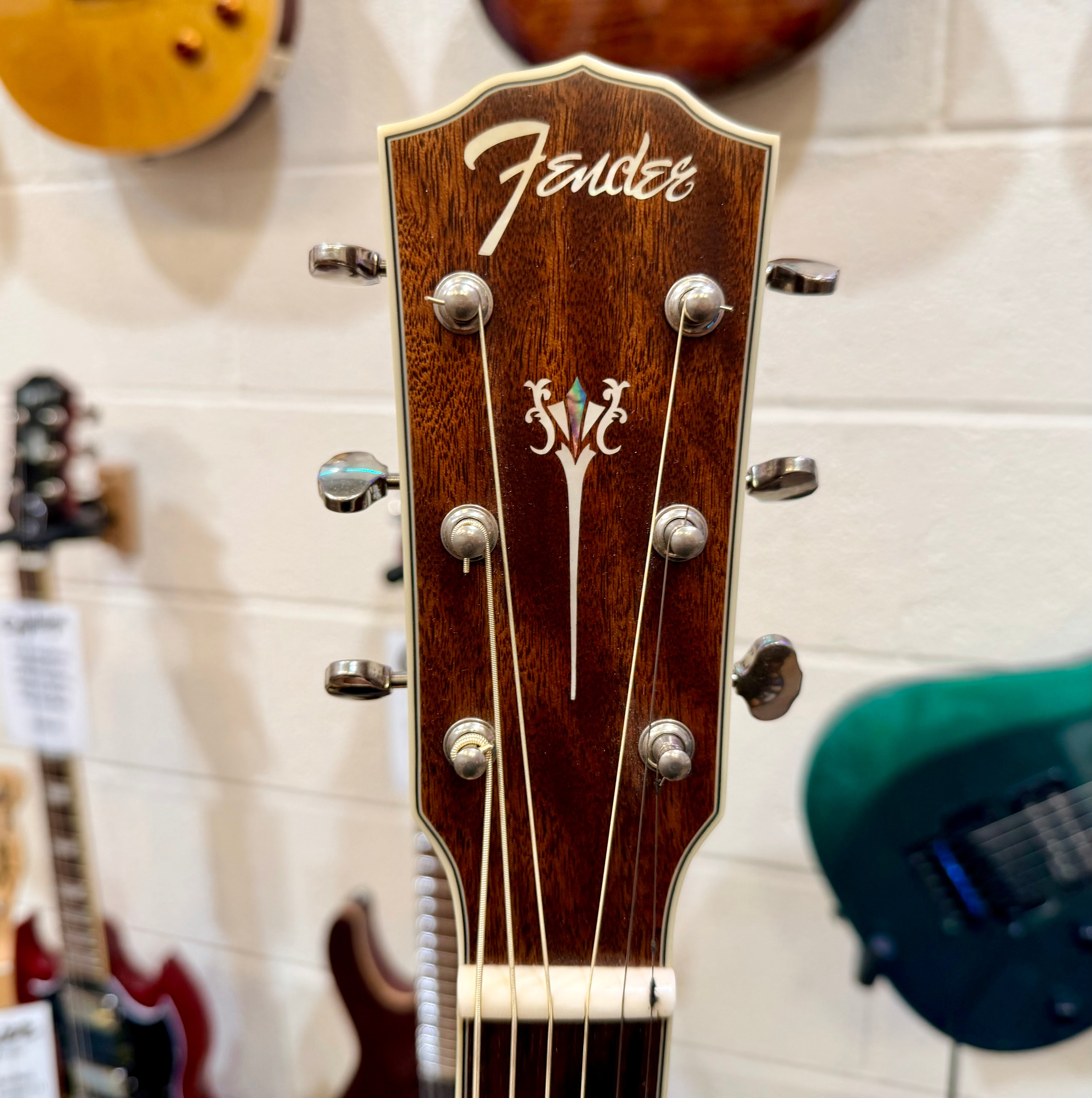 🔥MINT🔥 Fender PM-1 Standard Dreadnought NE~ All-Mahogany Edition~ Hard Case!