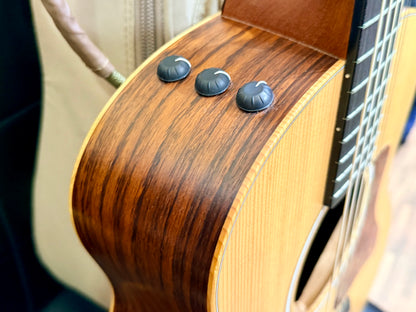 ✨2021✨ Taylor GS Mini-E Rosewood Electro Acoustic Travel Guitar with Gig Bag!