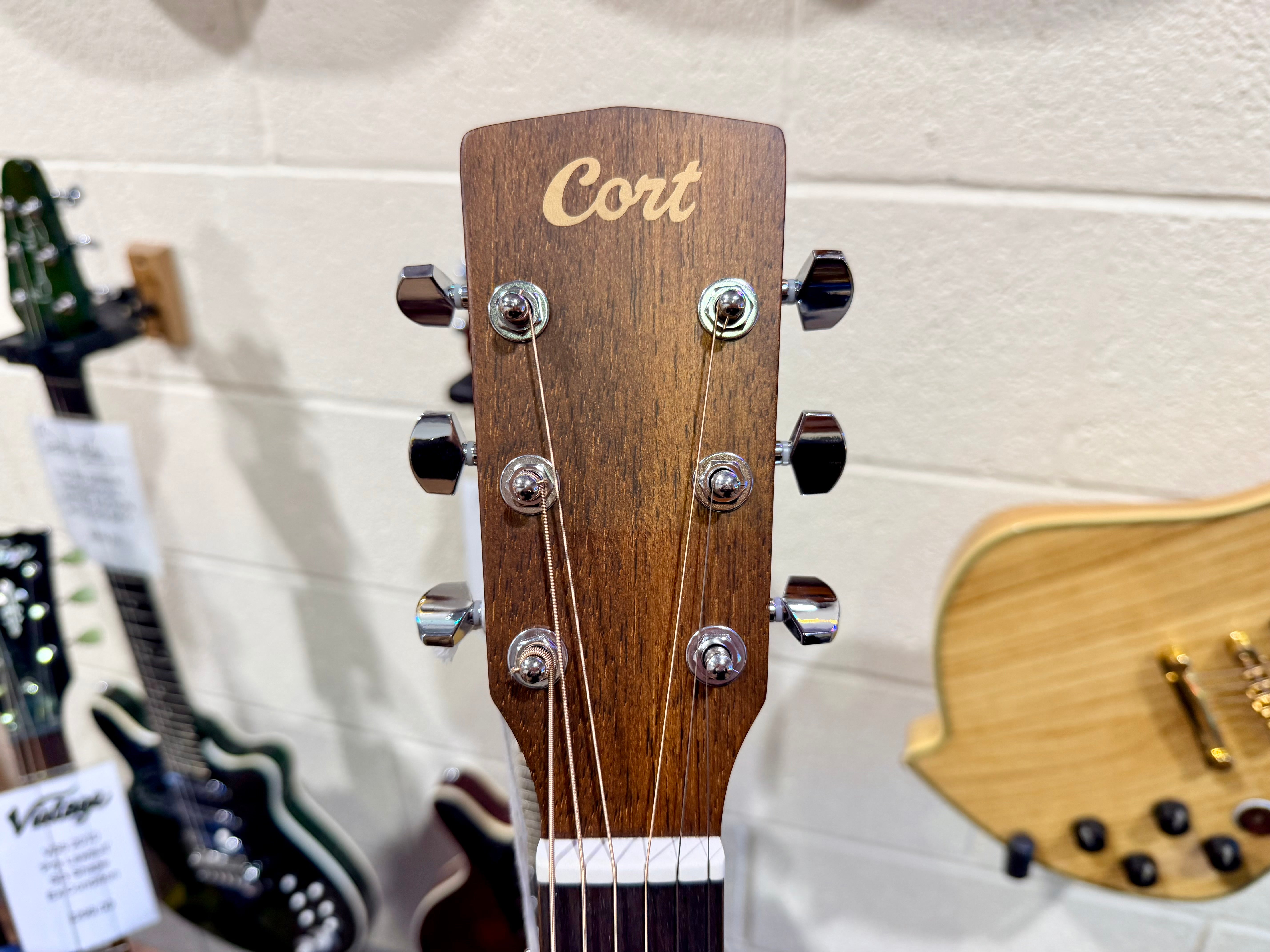 🌟BRAND NEW 2025🌟 Cort L60M OP Mahogany Acoustic Guitar~ Open Pore Finish!