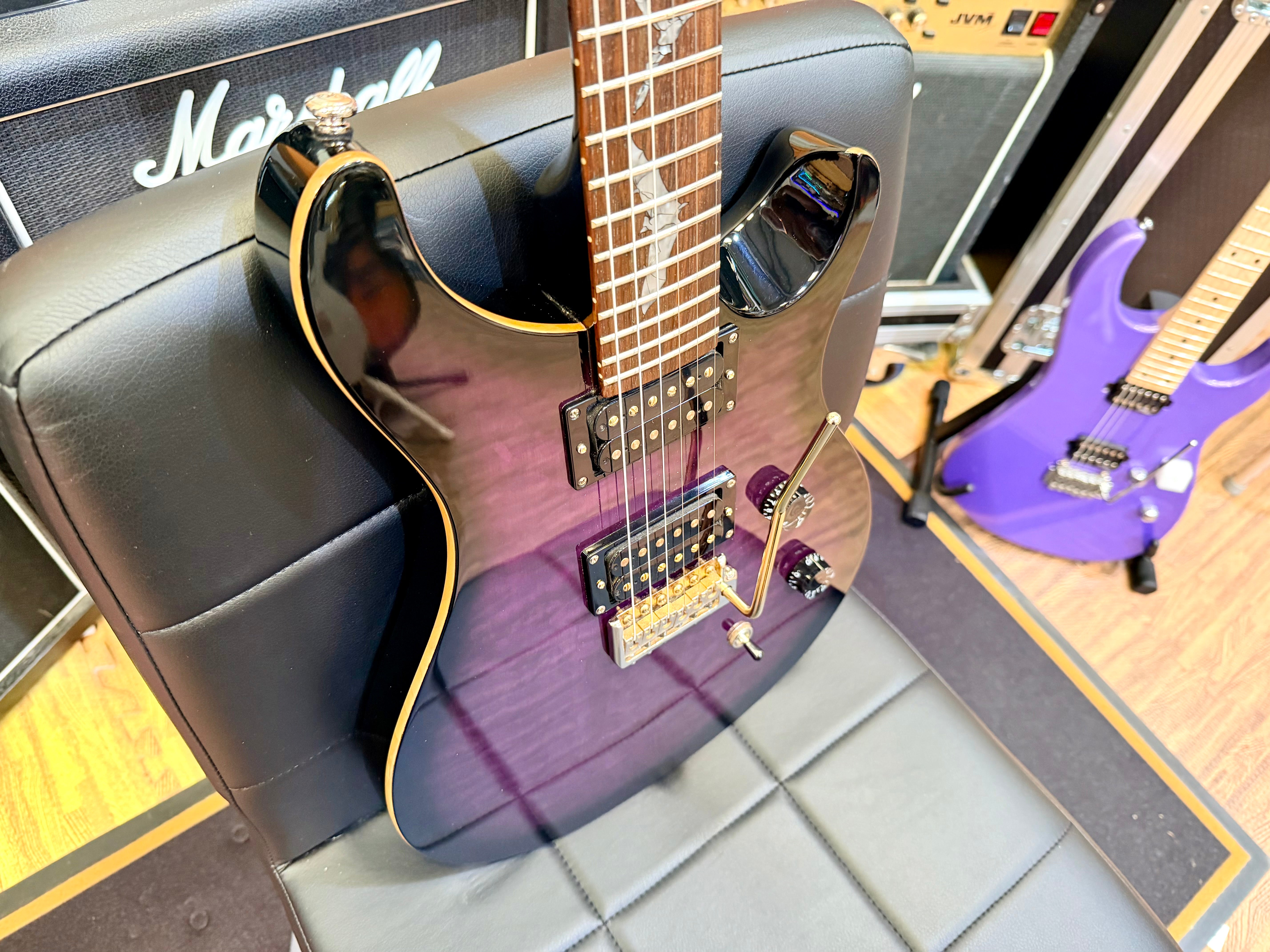 🦇 PRS SE Paul Allender Signature Purple Burst~ 2008 Korean~ Rare Early Model 🦇