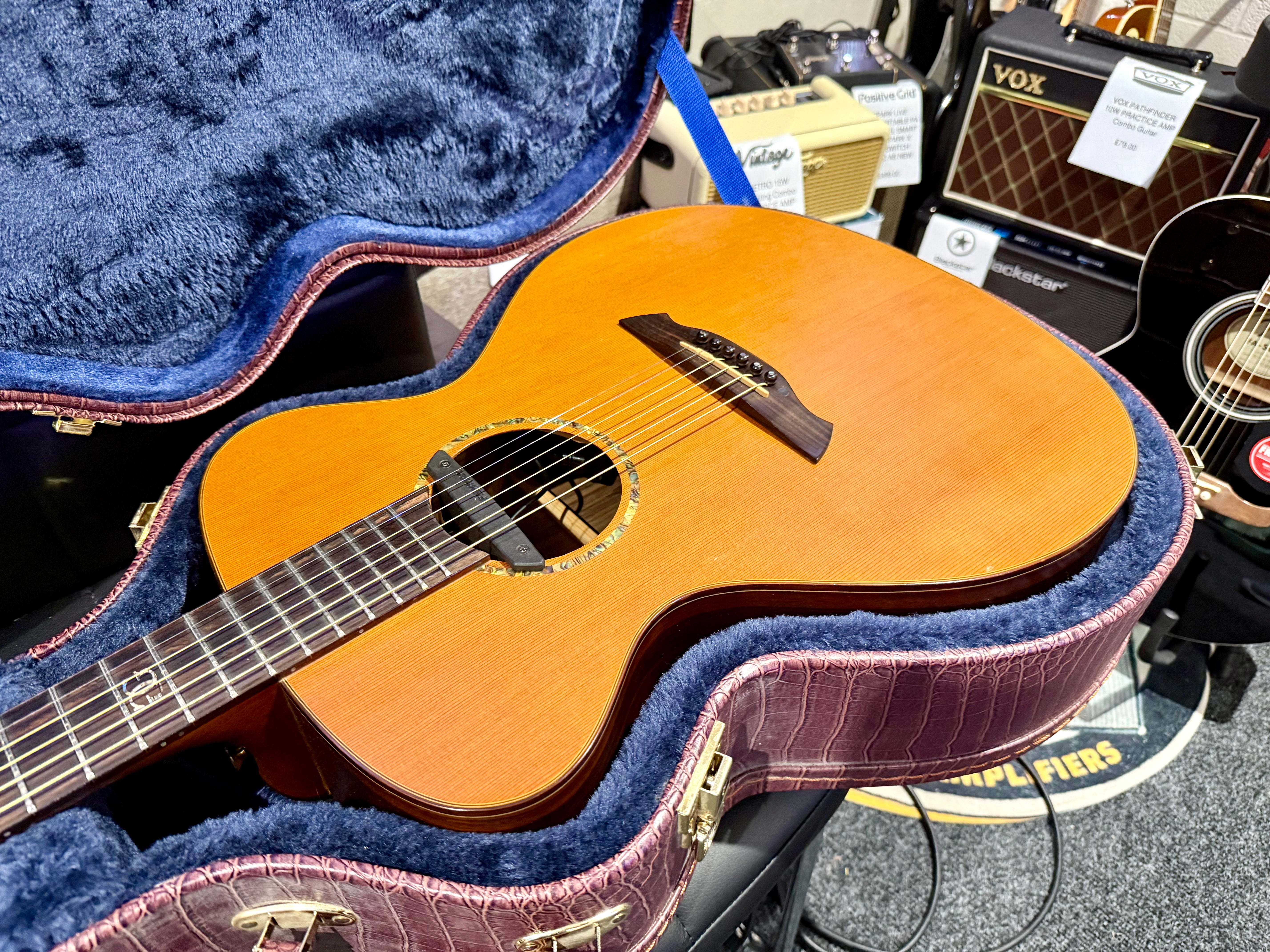 🌟 Vintage VE2000DLX Gordon Giltrap Deluxe Edition~Electro Acoustic~Hard Case 🌟