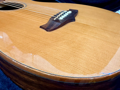 🌟 Tanglewood Exotic Java TWJPE Parlour Electro Acoustic + Hard Case~Stunning 🌟