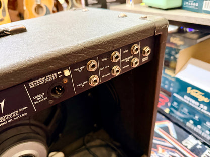 🎸 Peavey Ecoustic 112 Acoustic Guitar Amplifier~ 100w Combo Amp 🎸