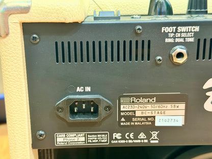Roland Blues Cube Stage 60 Guitar Amplifier~ Tube Logic Valve 60w Combo Amp 🎸