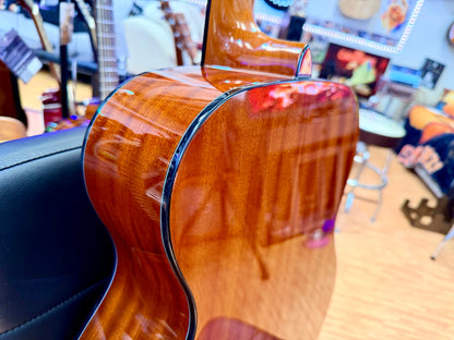 ✨NEW✨ Brunswick BF200M Mahogany Folk Acoustic Guitar~ Natural Gloss!