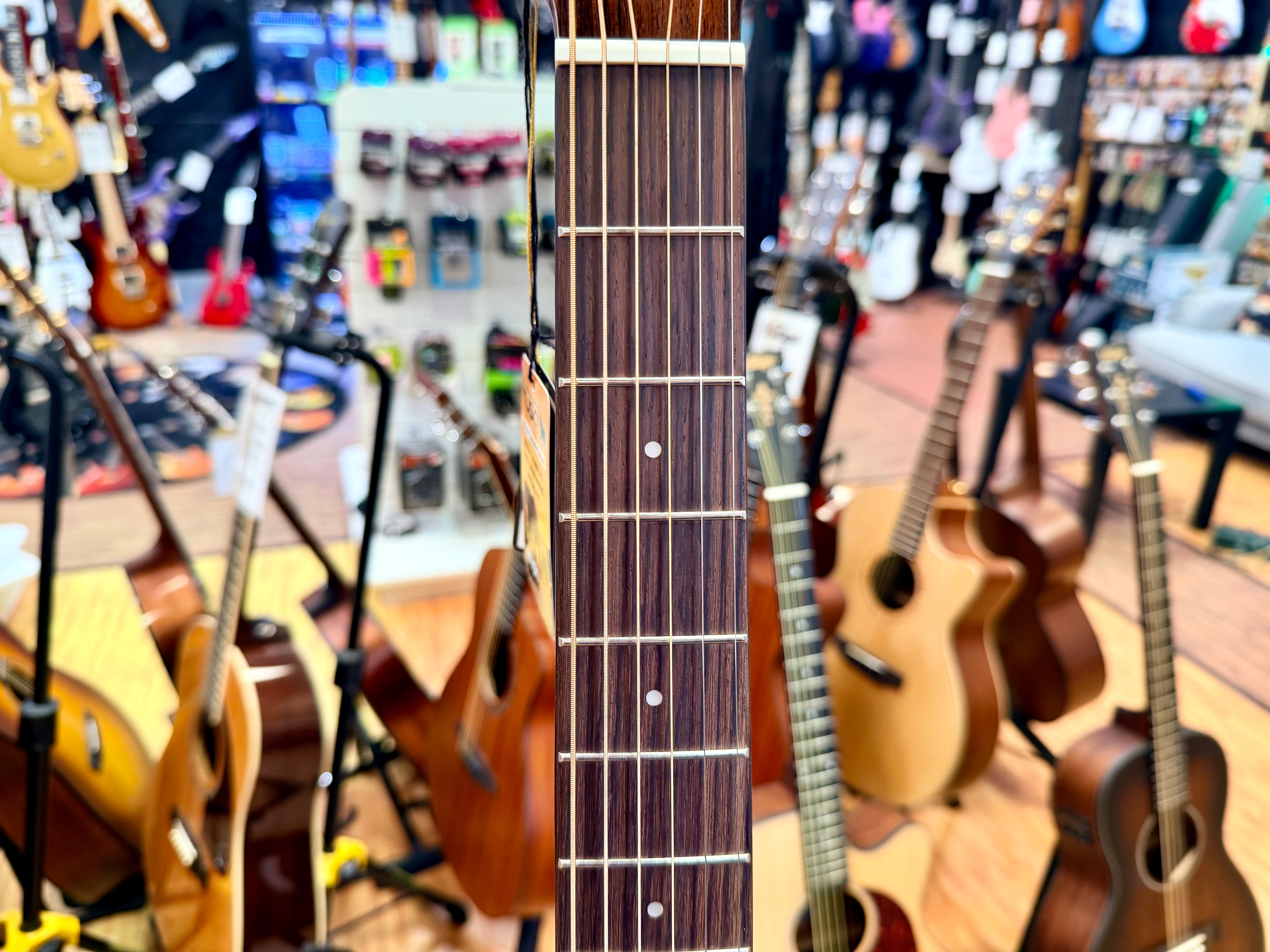 ✨ Vintage V1650N Performer Series Acoustic Orchestra OM Guitar~ Natural Gloss ✨