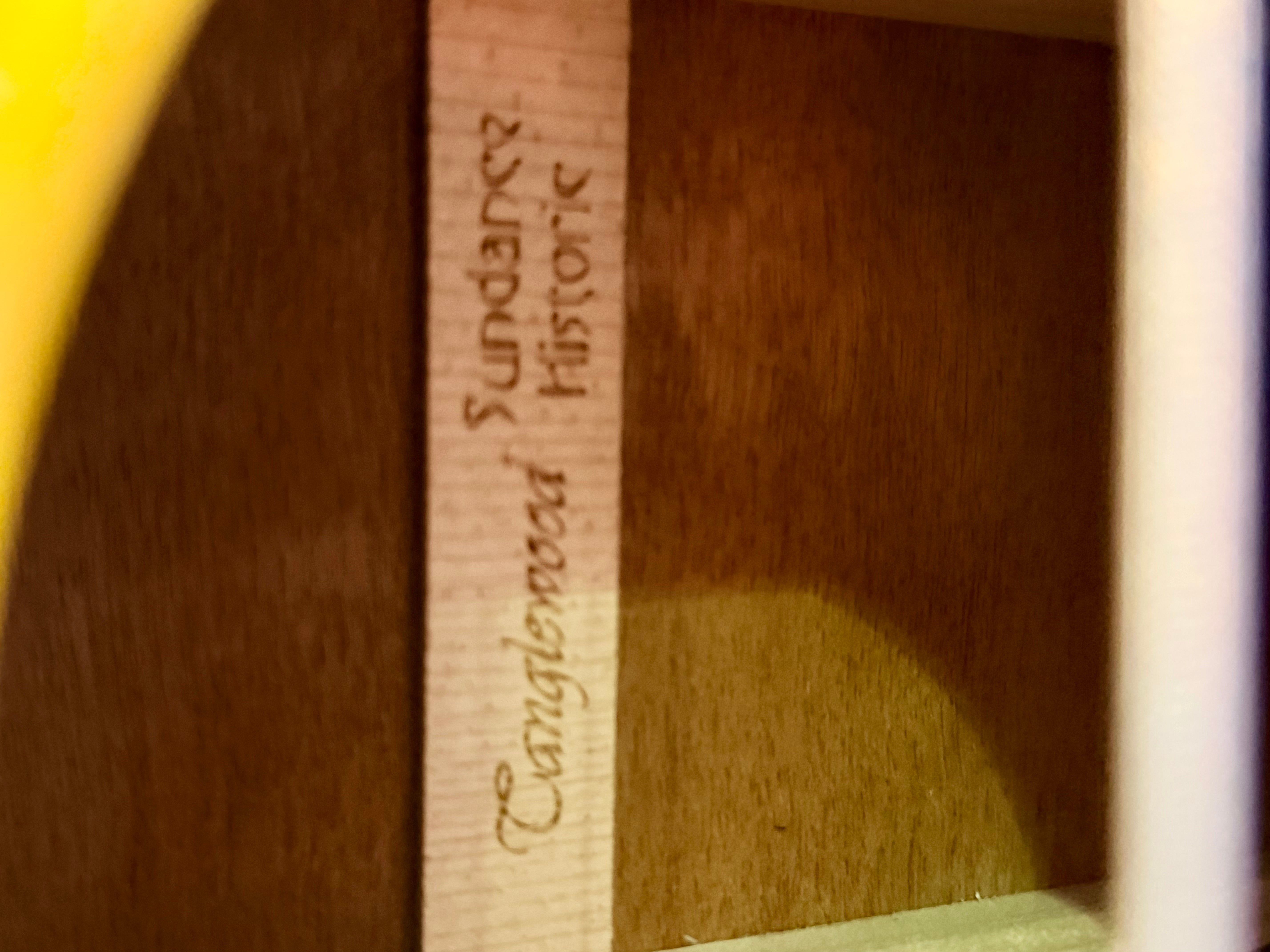 🌟MINT🌟 Tanglewood TW40 O AN E Sundance Historic Folk Electro Acoustic Guitar!