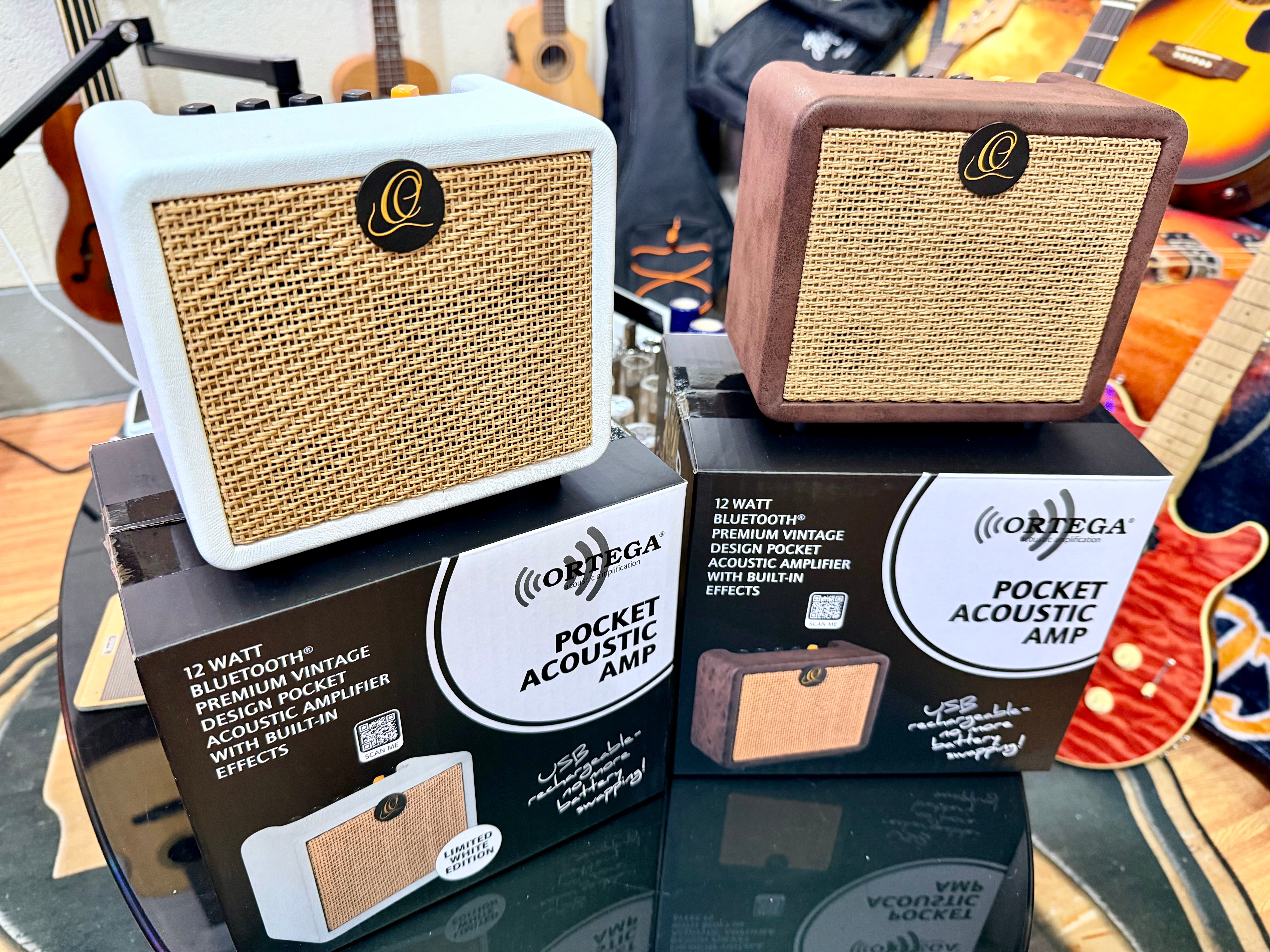 🔥NEW🔥 Ortega PTWO 12w Pocket Acoustic Guitar Amplifier~USB-C/Bluetooth/Effects