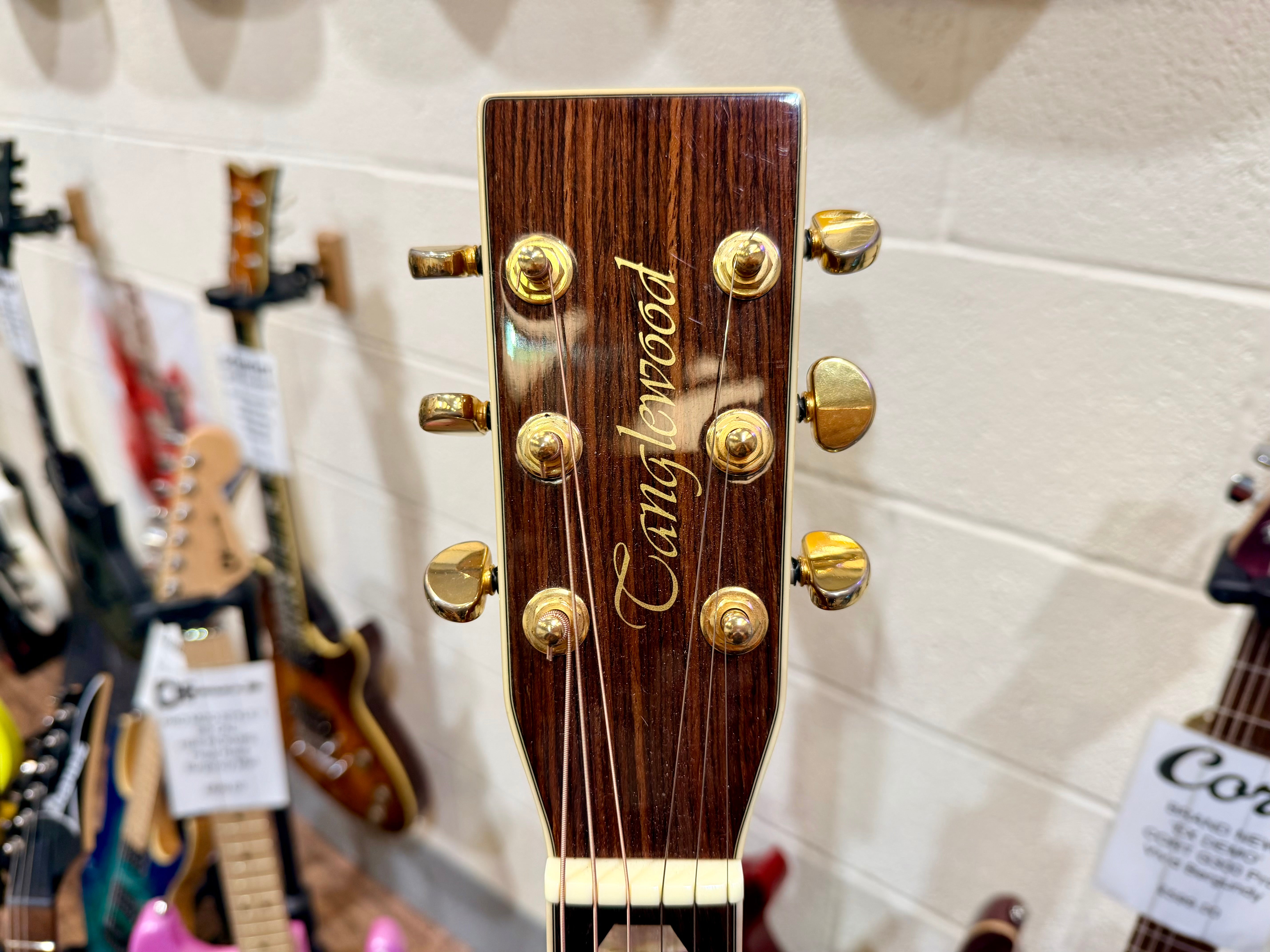 ✨1998 KOREA✨ Tanglewood SJ-10X Electro Acoustic Guitar~ Jumbo Dreadnought~RARE