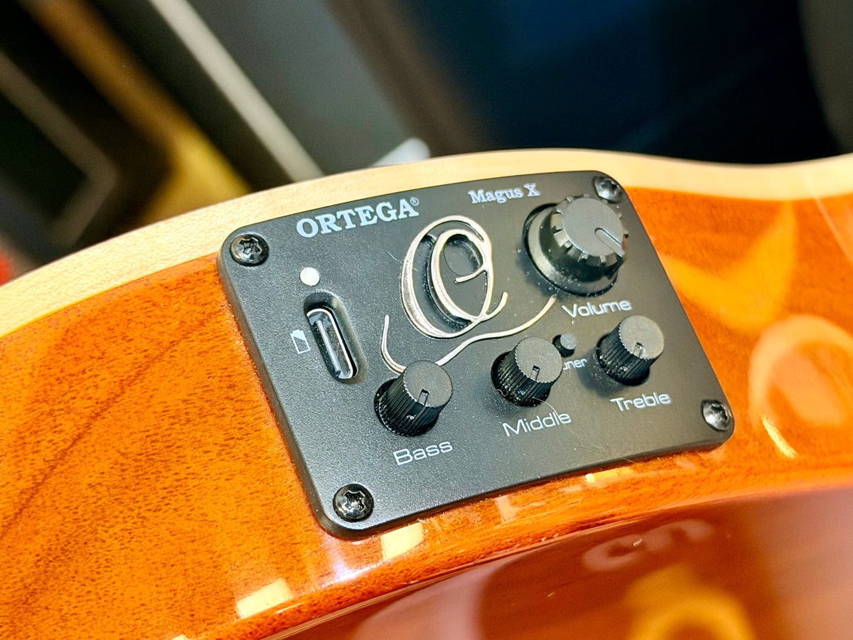 🔥NEW🔥 Ortega TourPlayer Deluxe RTPDLX-FMA Nylon Electro-Acoustic Guitar Blue!