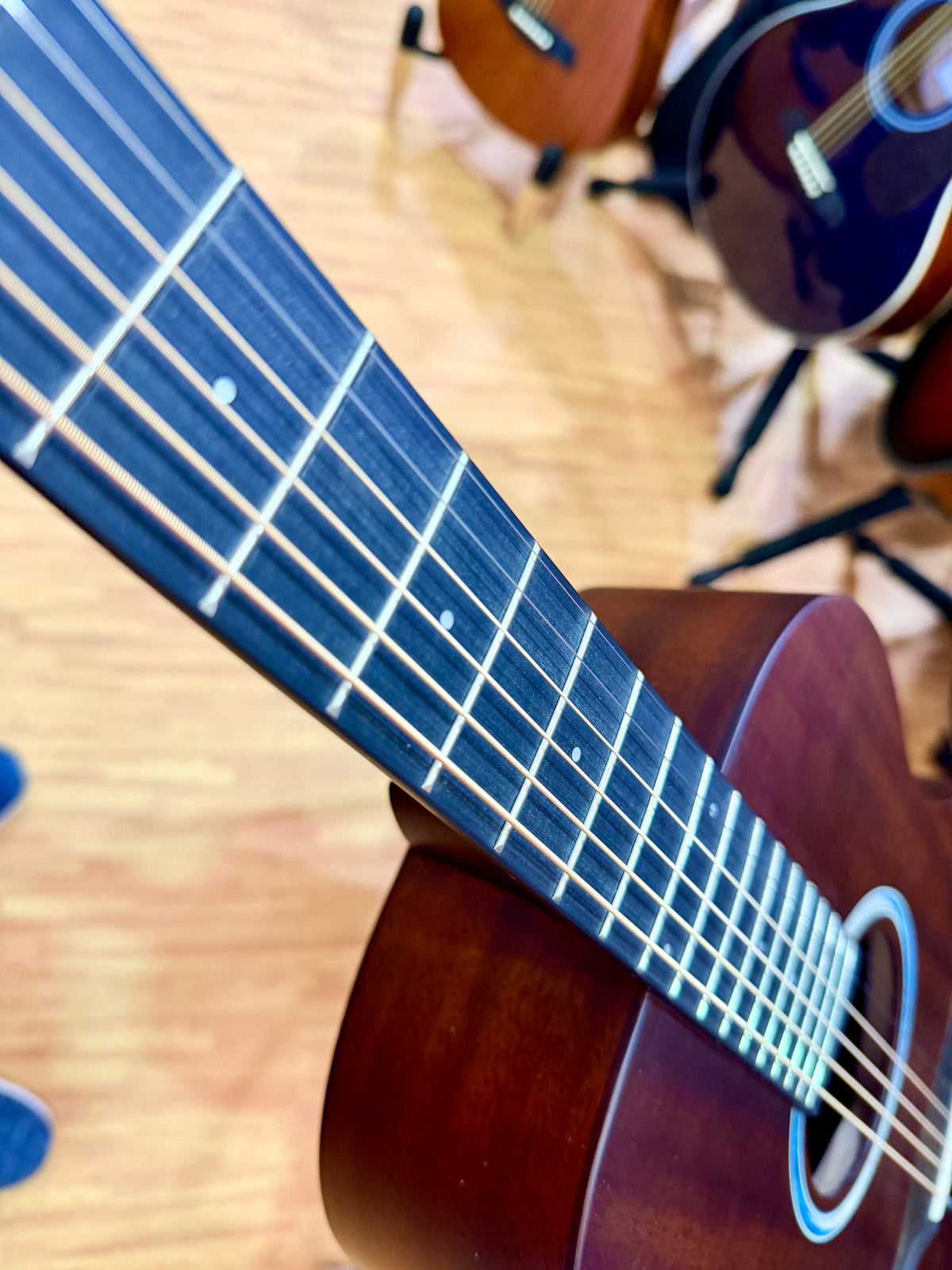 Tanglewood TE8EBL Elemental Parlour Electro Acoustic~ Natural Satin~ Solid Top
