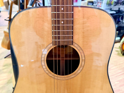 Vintage DM-A Dreadnought Acoustic Guitar Natural~ B Stock~ New Strings & Setup
