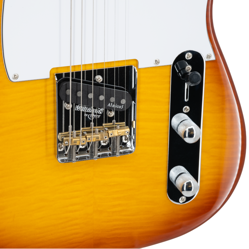 Prodipe TC90 ALDER Flame Top Honey Burst Electric Guitar